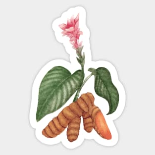 Maverick Turmeric Sticker